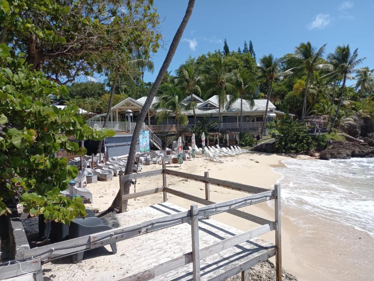 Grand Studio De 41 M², Vue Mer Et Jardin Tropical. Le Gosier  Exteriér fotografie