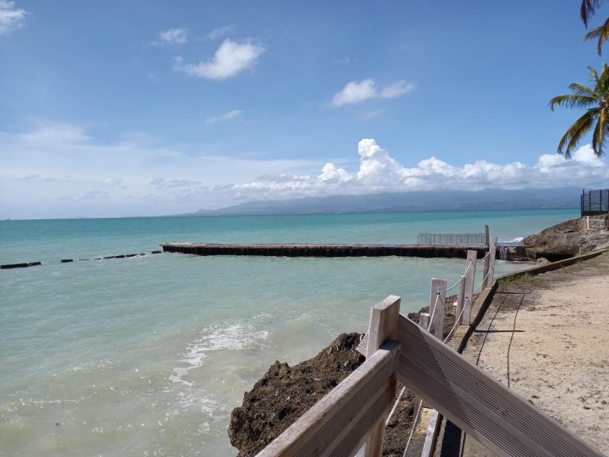Grand Studio De 41 M², Vue Mer Et Jardin Tropical. Le Gosier  Exteriér fotografie